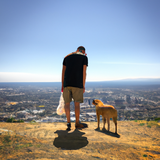 a photo of a pup and their owner standing on a hilltop overlooking the city
