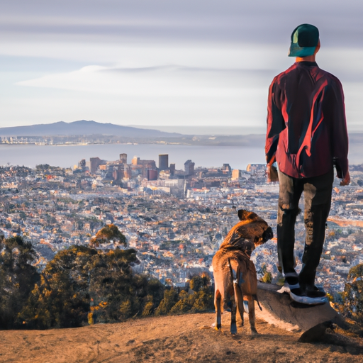 a photo of a pup and their owner standing on a hilltop overlooking the city