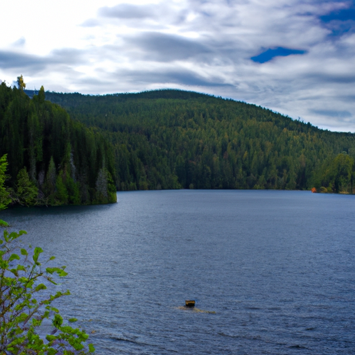 A photograph of a lake surrounded by trees and mountains